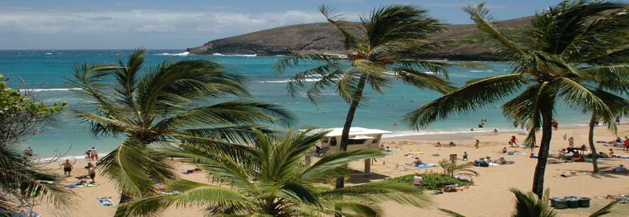 Welcome to Menucool.com